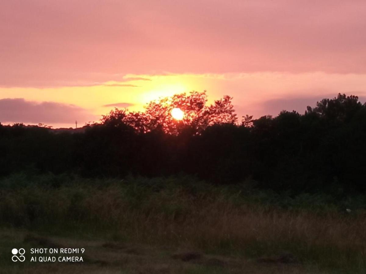 Tente Safari Lodge Dans Foret Luxuriante Vielle-Tursan ภายนอก รูปภาพ