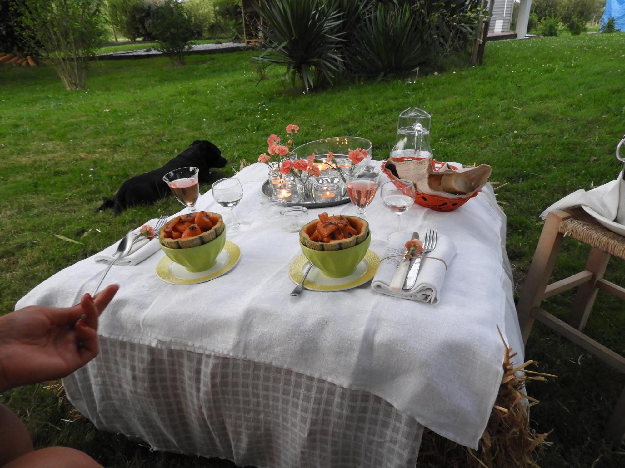 Tente Safari Lodge Dans Foret Luxuriante Vielle-Tursan ภายนอก รูปภาพ